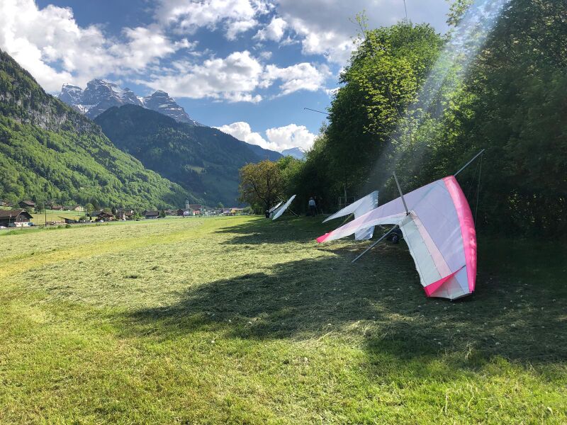 Datei:WhatsApp Bild 2024-06-12 um 01.53.09 6d6b8248.jpg