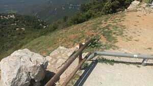 WhatsApp Bild 2024-06-17 um 12.37.05 37ddedcd.jpg