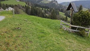 Montlinger Schwamm Aufbauplatz.jpg