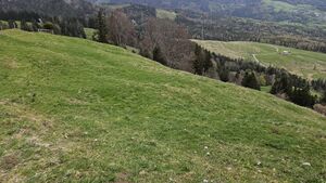 Montlinger Schwamm Start 1.jpg