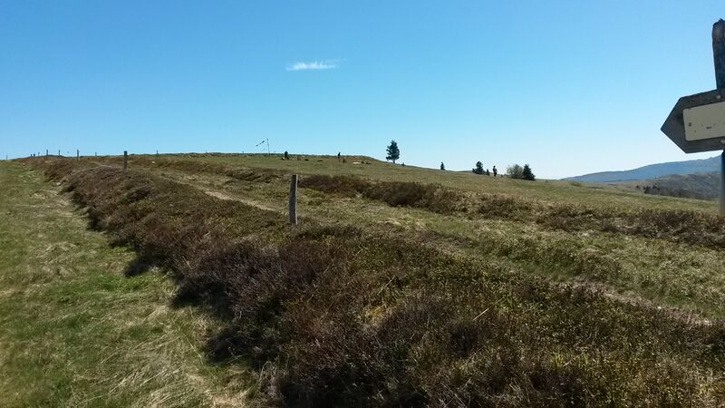 Datei:Treh start sso blickrichtung o.jpg