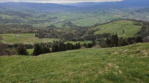 Montlinger Schwamm Start 2.jpg