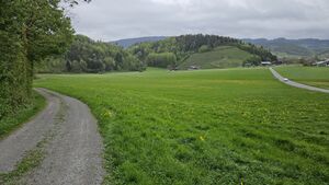 Montlinger Schwamm LP.jpg