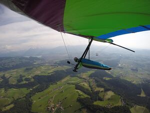 Falkenflue2021-Flug (4).JPG