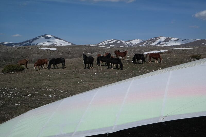 Datei:1200px-SAM 1823.JPG