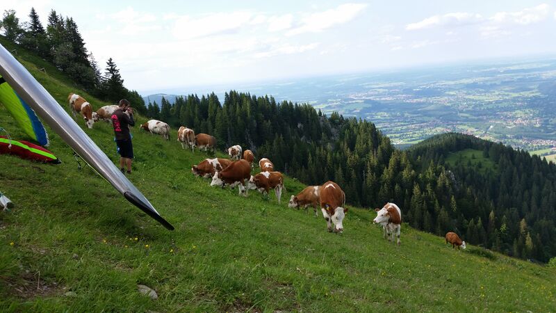 Datei:20160701 174601.jpg