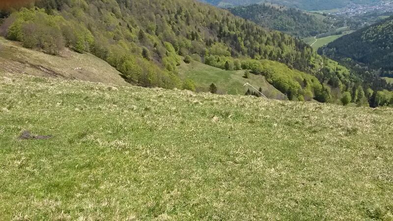 Datei:Drumont start.jpg