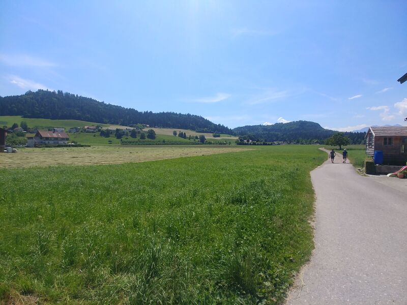 Datei:Falkenflue2021-Landeplatz (1).jpg