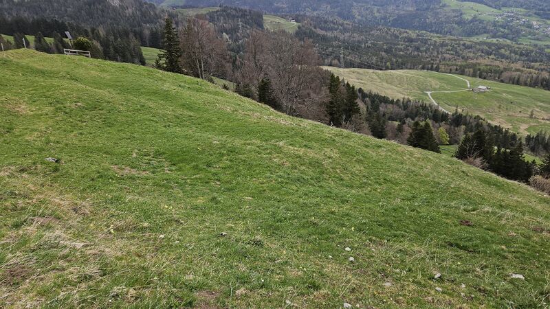 Datei:Montlinger Schwamm Start 1.jpg