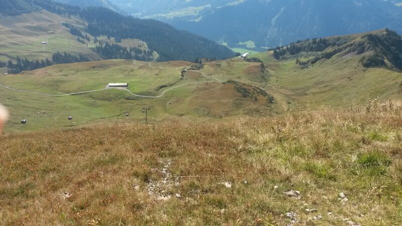 Datei:1200px-Diedamskopf Naturstart oben SW.jpg