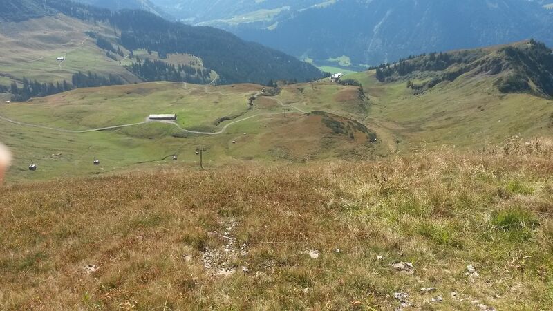 Datei:Diedamskopf Naturstart oben SW.jpg