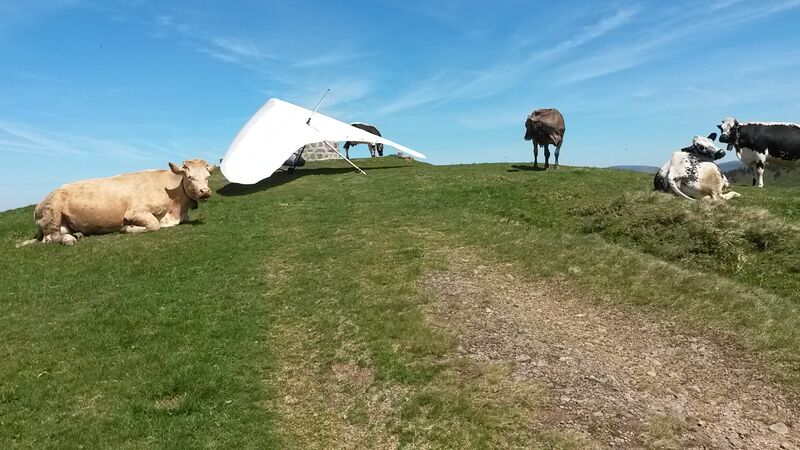 Datei:Drumont aufbauplatz.jpg