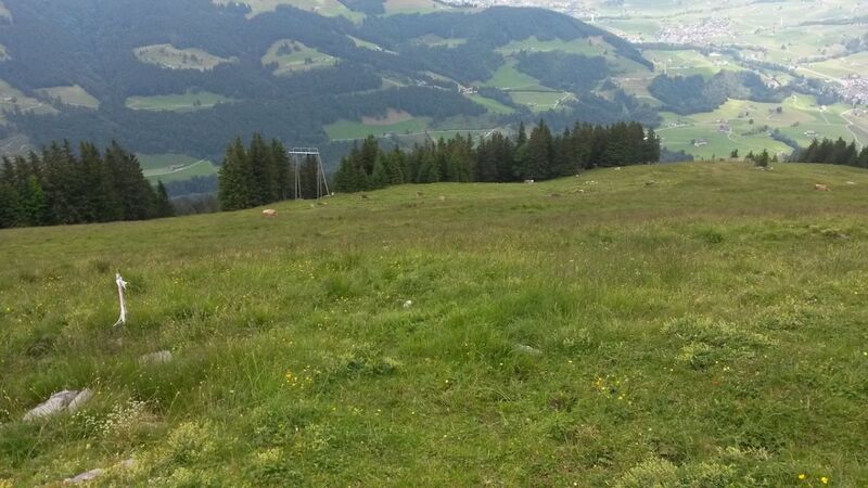 Datei:1200px-Ebenalp start drachen 2.jpg