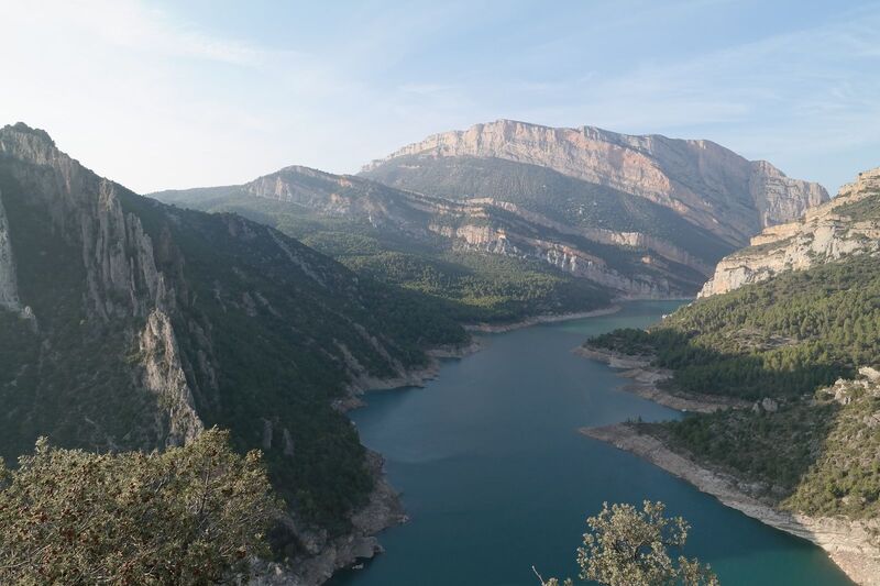 Datei:1599px-SAM 0255.JPG