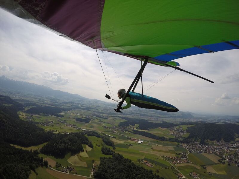 Datei:1200px-Falkenflue2021-Flug (2).JPG