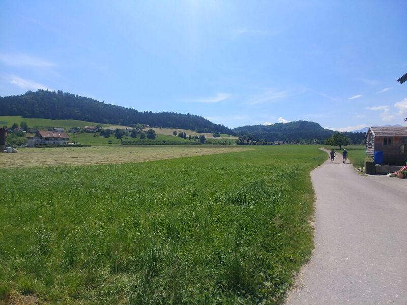 Datei:1600px-Falkenflue2021-Landeplatz (1).jpg