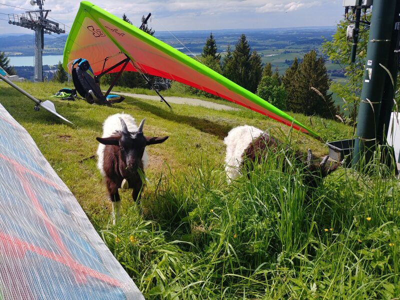 Datei:1600px-20200530 155112 HDR.jpg