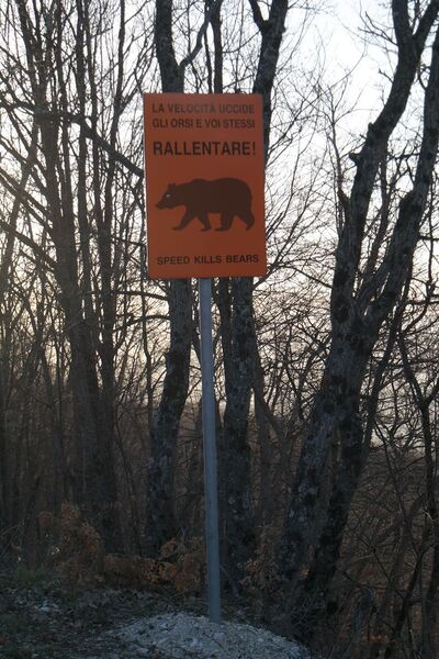 Datei:600px-SAM 1850.JPG