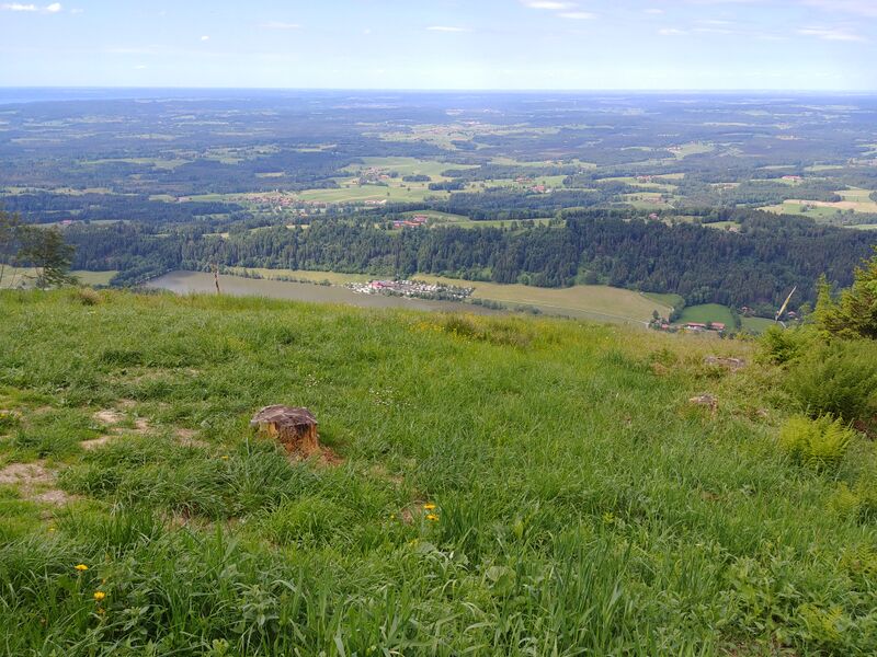 Datei:20190608 154531.jpg