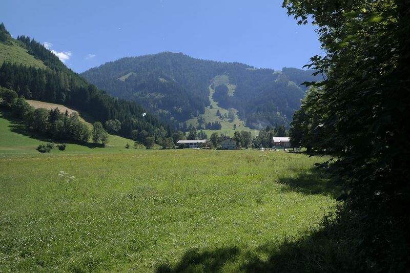 Datei:1200px-SAM 4561.JPG