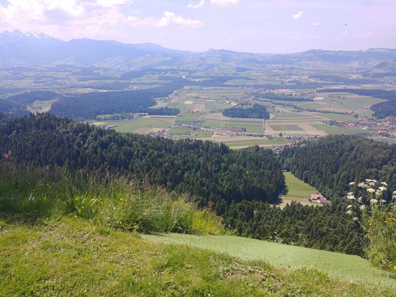 Datei:Falkenflue2021-Startplatz (3).jpg