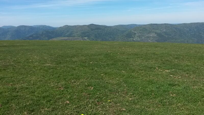 Datei:Treh toplandeplatz blickrichtung w.jpg
