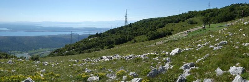 Datei:813px-Tribalj2020-GS (3).JPG