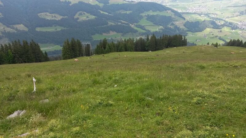 Datei:Ebenalp start drachen 2.jpg