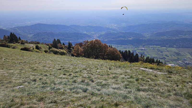 Datei:Revine SP 2.jpg