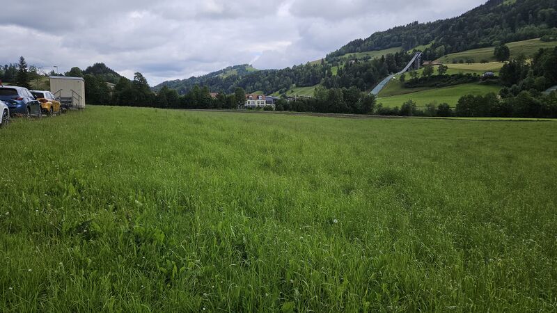 Datei:Alp Scheidegg LP Gibswil.jpg