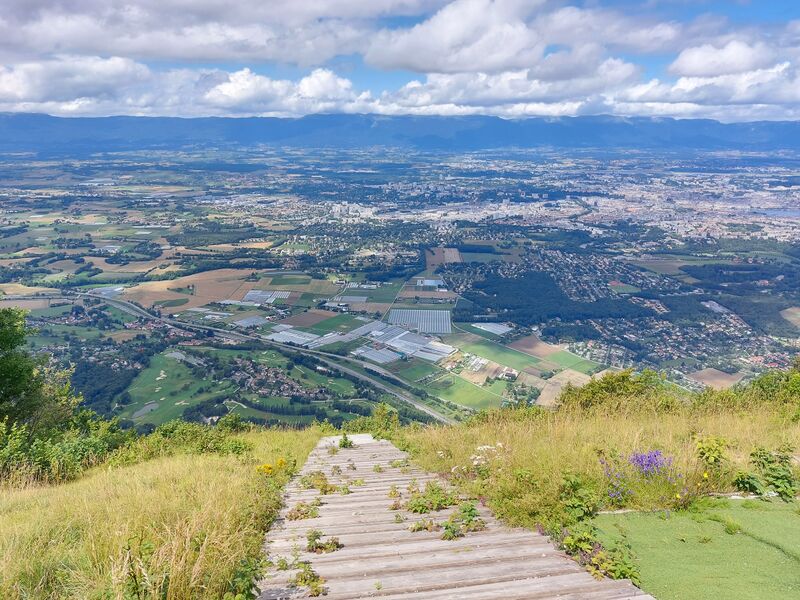 Datei:20210808 125042.jpg