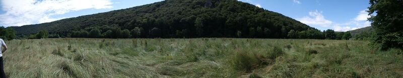 Datei:925px-SAM 4219.JPG