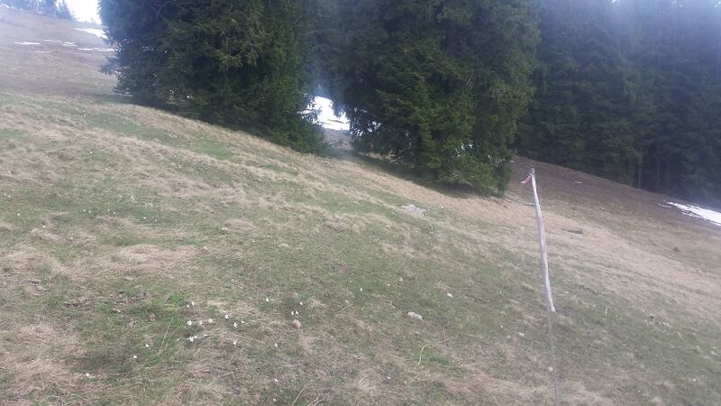 Datei:Unternberg2019 (9).jpg