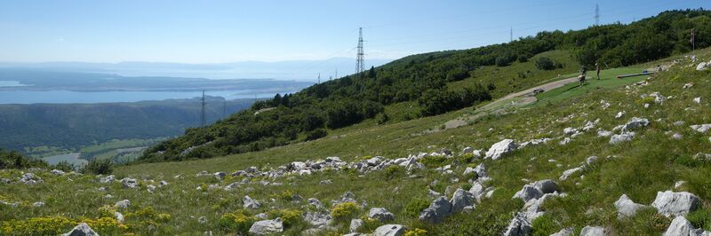 Datei:Tribalj2020-GS (3).JPG