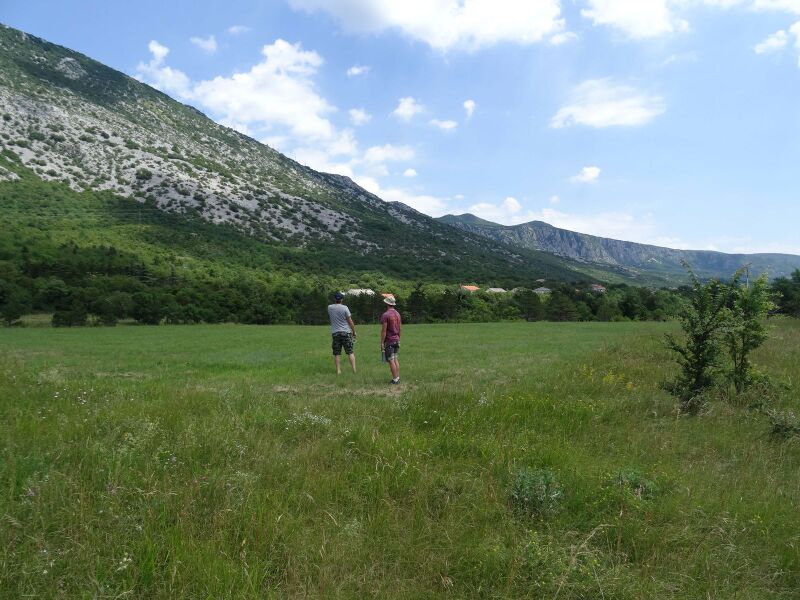 Datei:1600px-Tribalj2020-LP (4).JPG