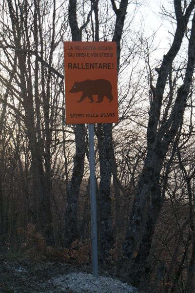 Datei:800px-SAM 1850.JPG