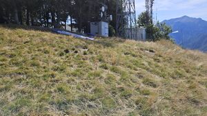 Muggio SP west 3.jpg