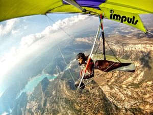 335414 356526267694179 1455154372 o.jpg