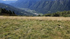 Muggio SP sued 2.jpg