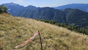 Muggio SP west 2.jpg